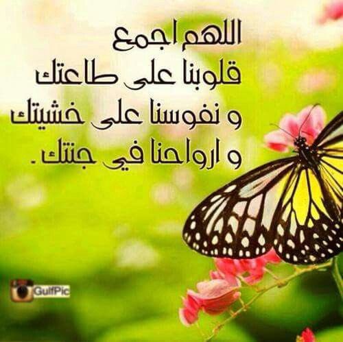 #ساعه_استجابه 
اللهم اجمع قلوبنا على حبك، واجمع جوارحنا على طاعتك، واجمع نفوسنا على خشيتك، واجمع أرواحنا في جنتك، ولا تحرمنا عفوك ورحمتك وأكتب اليسر لمن يعاني من العسر والراحه لمن به هم والسعاده للمحزون والشفاء للمريض والرحمه للميت والإجابه لمن دعاك🥀

...اللهم امين🥀🥀