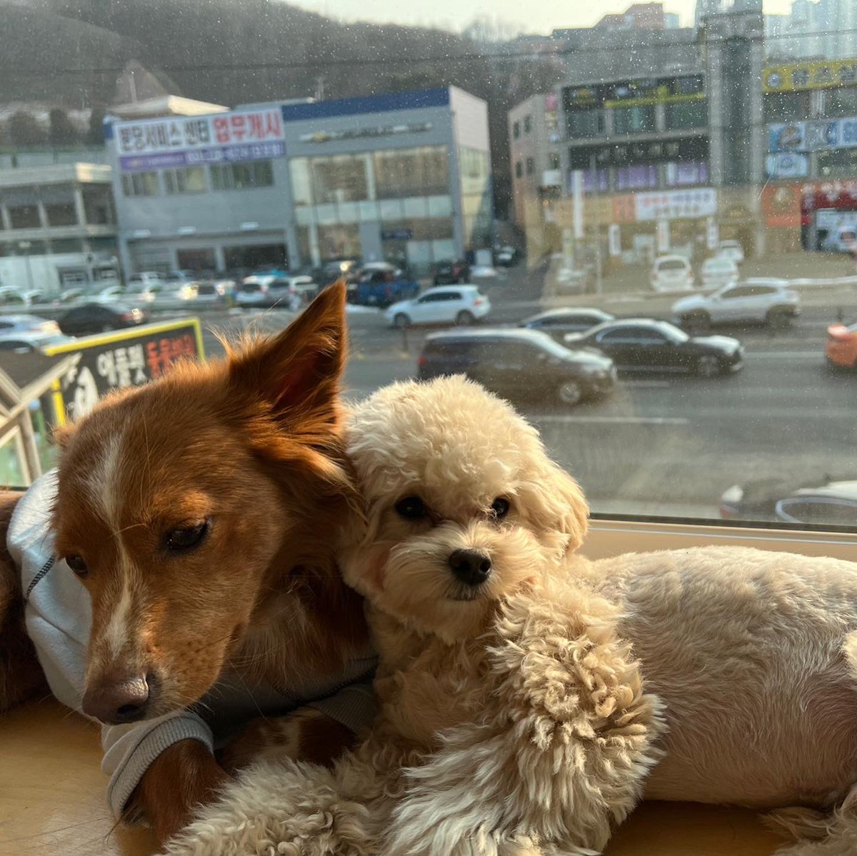 our_dsunny's tweet photo. 덕선근황 베푸생김 https://t.co/tZYKCdDbXc