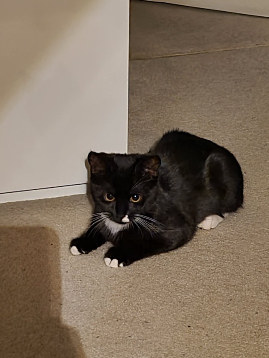 ethan bailey tweet media