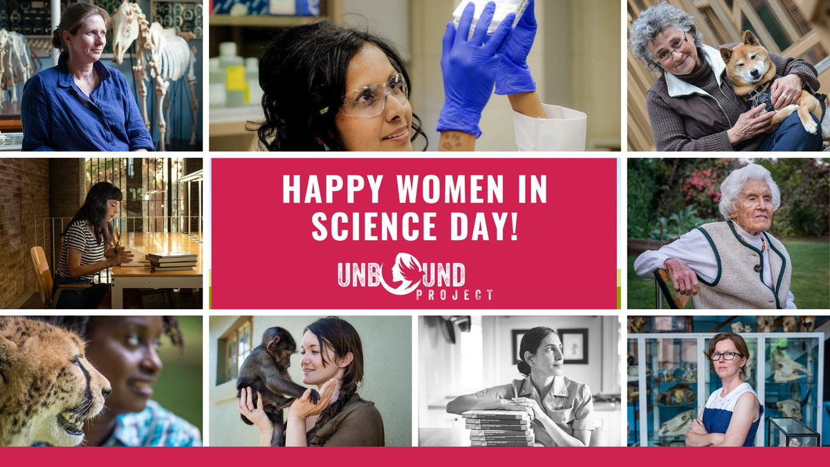 unboundproject's tweet photo. It's #WomenInScience Day! 🔬

The #UnboundProject women are doing remarkable work for animals through the #sciences. Whether it's #gorilla veterinarian @DoctorGladys, researcher @DanielaRomeroW, or Exec. Director of @CCAAM_CaCVAM Dr. Charu Chandrasekera ➡️ https://t.co/DgsbipBNCU https://t.co/FmGWnU4kfz