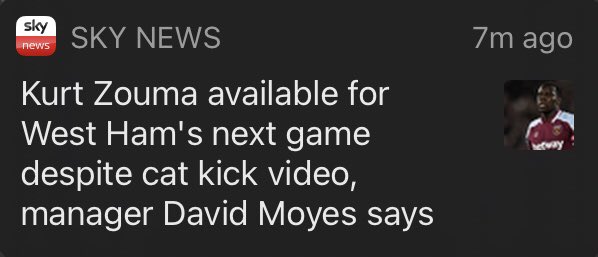 Also available to be arrested and charged.
<a href="/metpoliceuk/">Metropolitan Police</a> <a href="/RSPCA_official/">RSPCA (England & Wales)</a> <a href="/Battersea_/">Battersea</a>