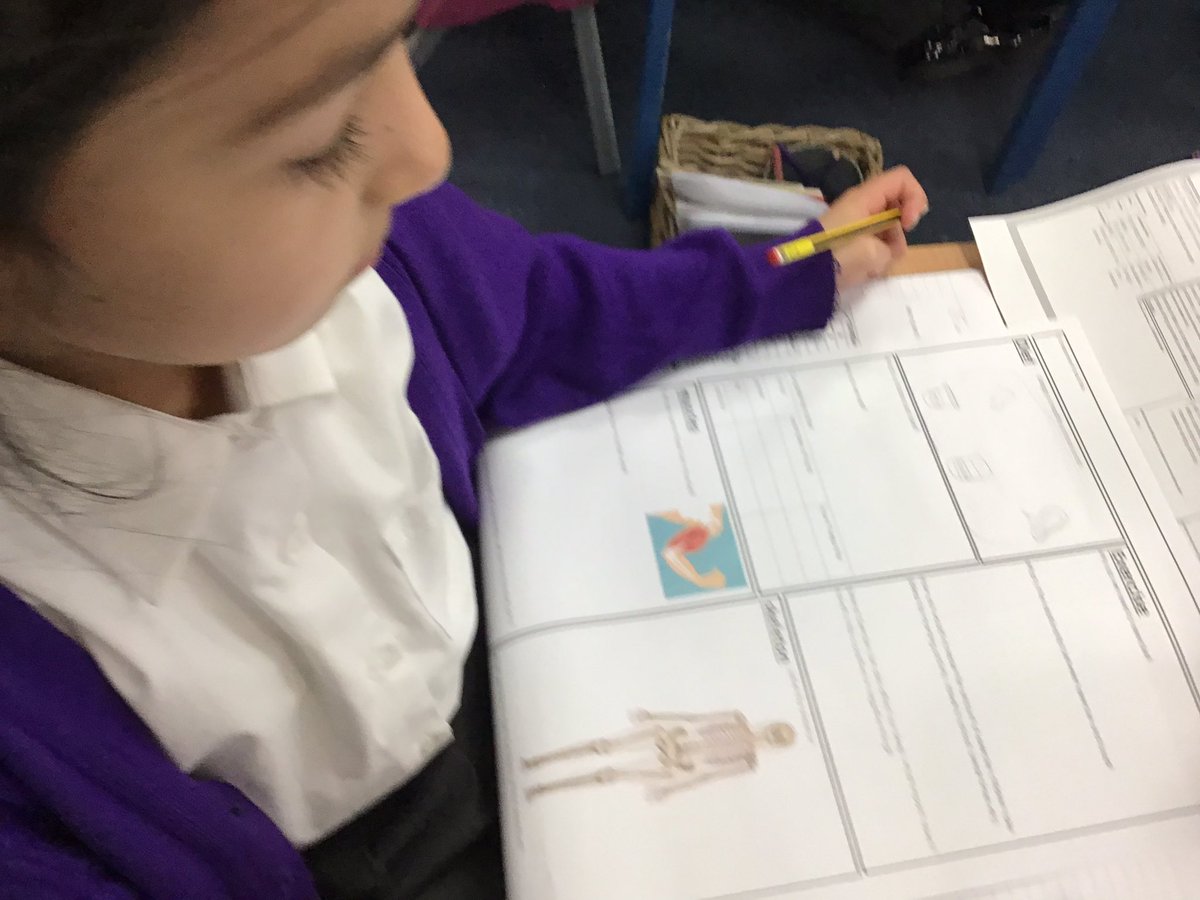 HaematiteEPS's tweet photo. We are using our science learning to complete the poster! We were able to find information in our books, on our learning lines and on our working wall. @ScienceEps https://t.co/hQ08PHea08