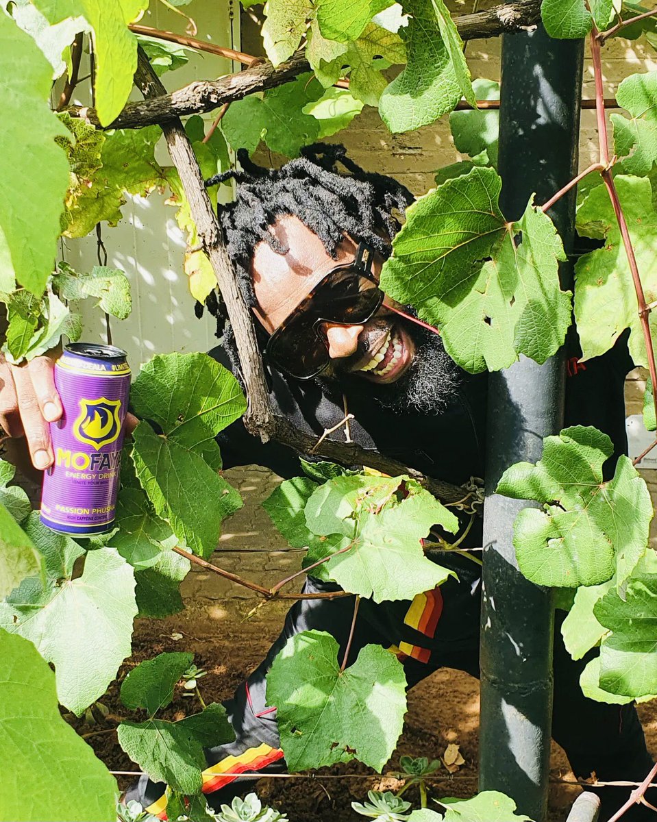 MIDEMDEPOT 

Brand New Mofaya Energy Drink 500ml #PassionPhanda 🥭 

Hugging Trees 🌲 is our New Frequency, Nothing beats Nature Love. 

The Release of New Energy. 

💜

Cc <a href="/djsbu/">djsbu</a> <a href="/mofaya_official/">MoFaya</a>