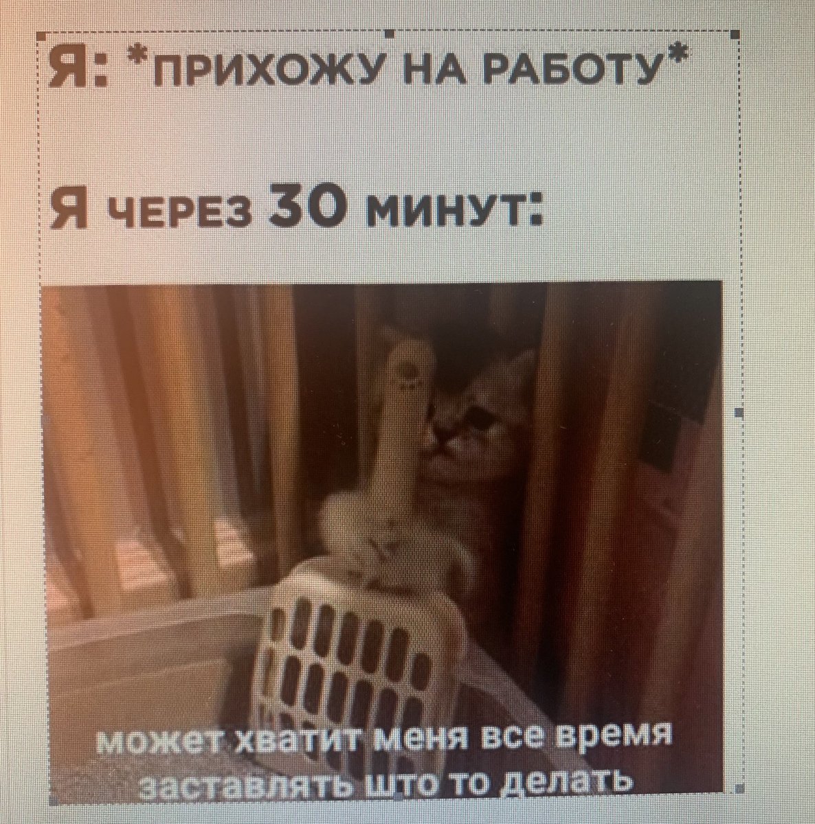 KatrinLawrence's tweet photo. будничный муд он такой https://t.co/UC8Zi9ylP0