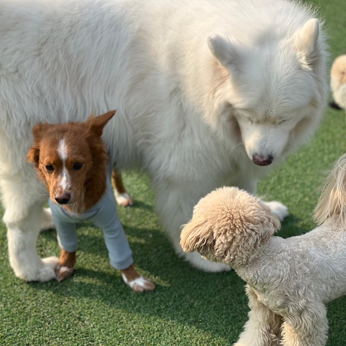 our_dsunny's tweet photo. 하 귀여워 미친 https://t.co/54ra8xWlBn