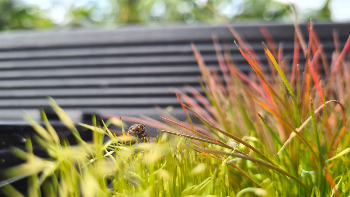 LastWeekNews's tweet image. A whole other world.