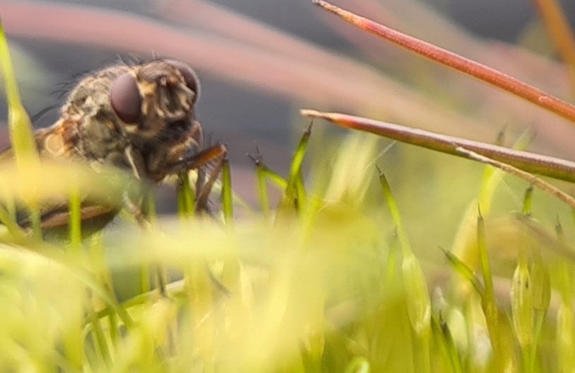 LastWeekNews's tweet image. A whole other world.