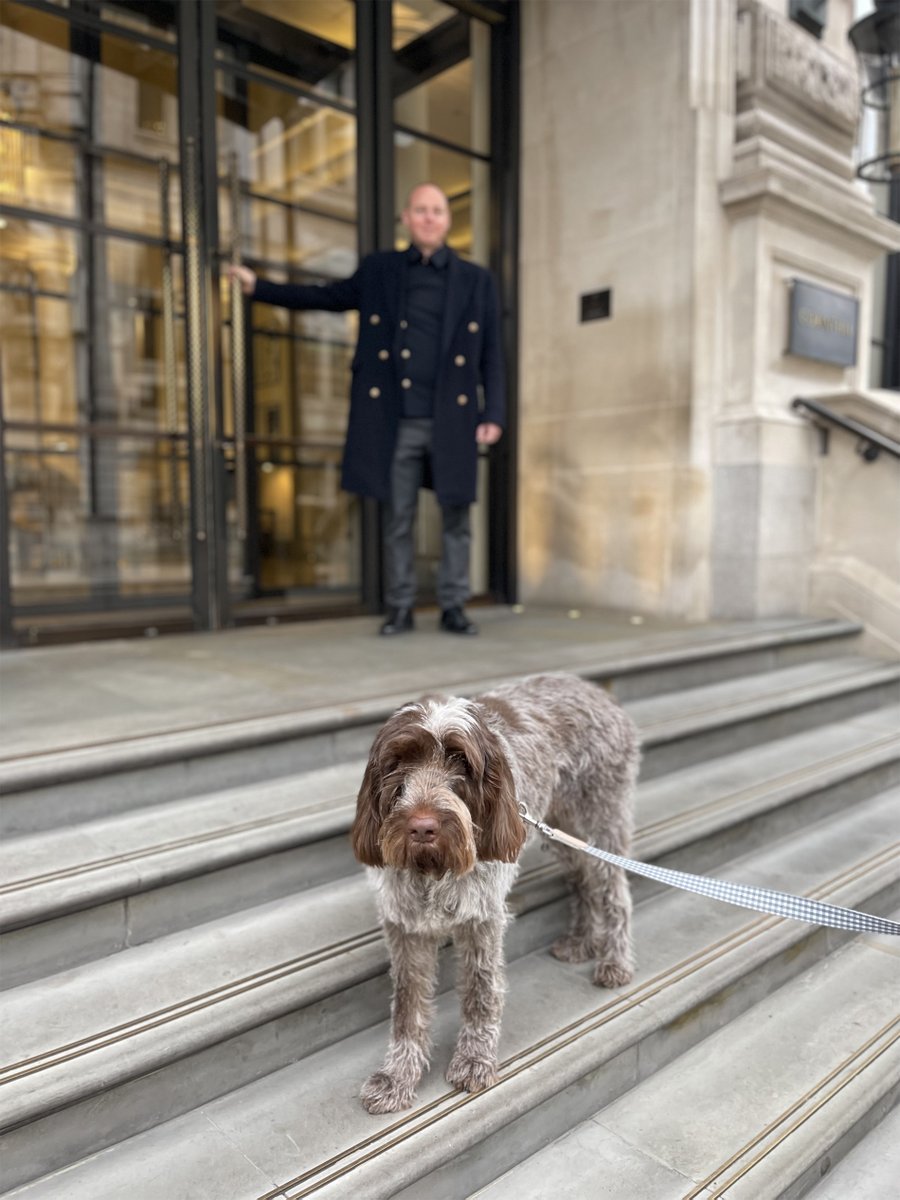 To celebrate our new Corinthia London x Mungo &amp; Maud collaboration, we are inviting you to #win a stay and dinner (with your dog, of course) <a href="/CorinthiaLondon/">CorinthiaLondon</a> and a £500 voucher to spend in store at <a href="/MungoMaud/">Mungo & Maud</a> 

Enter our #competition here:
mungoandmaud.com/corinthia-lond…
