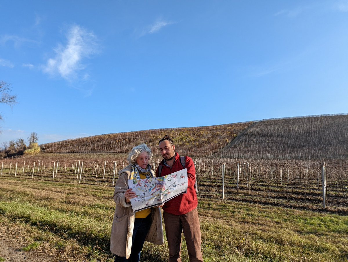 BenBernheim's tweet photo. @dccrossley @LizGabayMW A 2D map of Barolo is good enough if you're there :) https://t.co/i7rNRQ9Myz