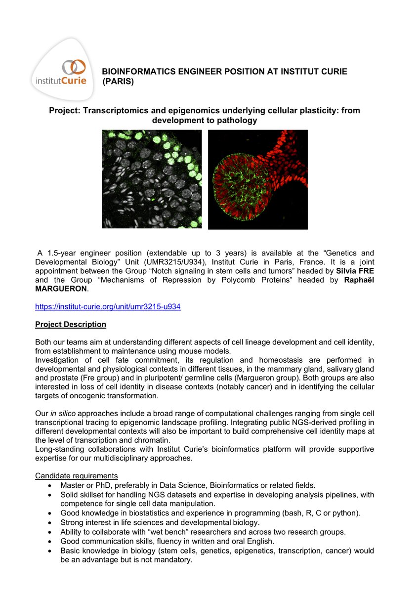 A bioinformatics engineer position is available in the teams of Silvia Fre @slvfre and Raphaël Margueron at Institut Curie in Paris!