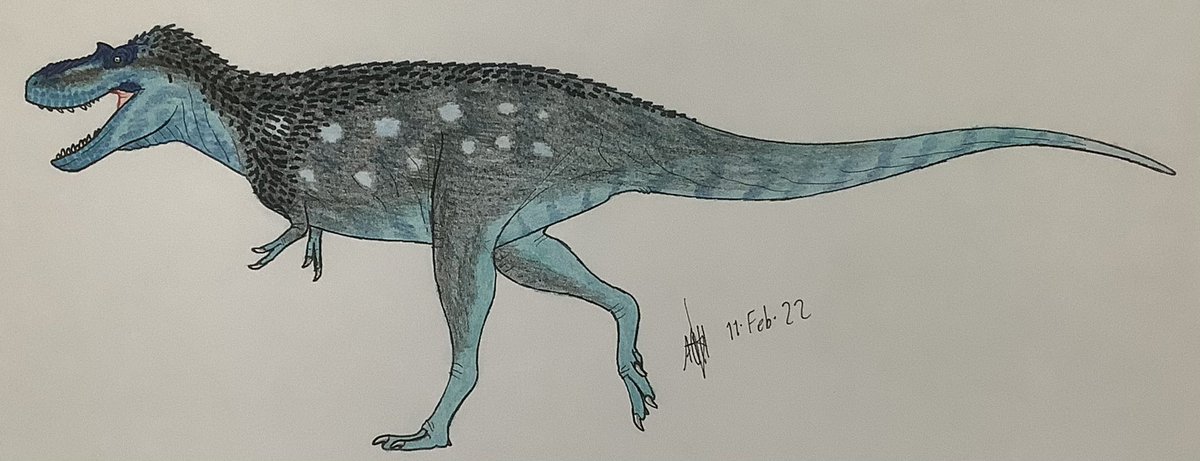 Gorgosaurus libratus

(Based on the skeletal by GetAwayTrike)
#drawing #paleoart #Dinosaur #Gorgosaurus #tyrannosauridae