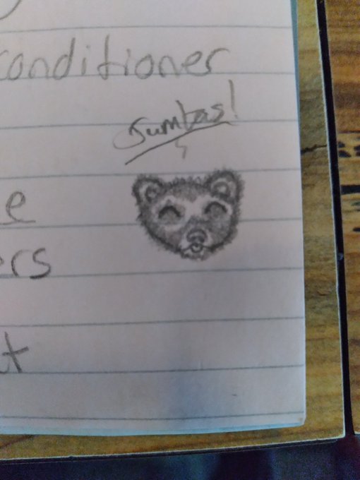 Oh look, I drew my little carpet shark again~ (his name is Judas but we call him pretty much anything<a href="/tag/pets"class="tags"><span>#pets</span></a><a href="/tag/doodle"class="tags"><span>#doodle</span></a><a href="/tag/sfw"class="tags"><span>#sfw</span></a><a href="/tag/ferret"class="tags"><span>#ferret</span></a><a href="/tag/badart"class="tags"><span>#badart</span></a><a href="/tag/dontlookattherestofmytweets"class="tags"><span>#dontlookattherestofmytweets</span></a>