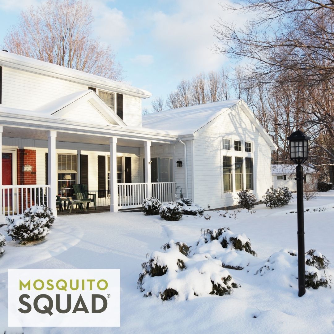 CapeSquad's tweet image. We never approach #homes the same. Each one has a #uniquelayout and we will make a #customplan for you! 🏠 
💻 bit.ly/3q5IsX7
