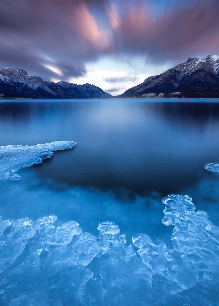 sarahlyndsay_'s tweet photo. Gm gm gm 💛

This is the same famous bubble lake I shared yesterday, but just as it’s starting to freeze.  Each month has something different to photograph. I love it! 📷📷

#NFTartists #photographynft #FOTOfriday #NFTCollection https://t.co/01oceiA8Ef