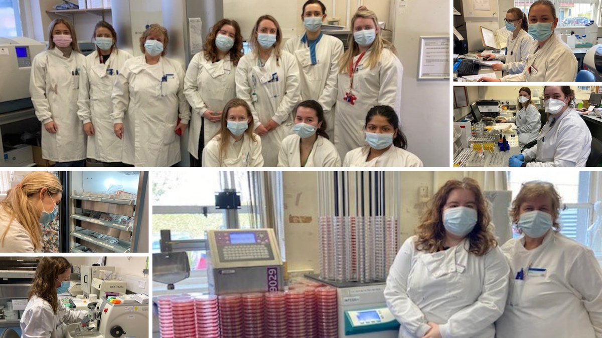 Today is UN International Day of Women and Girls in Science. 
 
🔬75% of Medical Scientists working in the depts of paediatric laboratory medicine in <a href="/CHIatCrumlin/">CHI at Crumlin</a> are female

#MedicalScientists
#IDWGS2022
#InternationalDayofWomenandGirlsinScience
#WomenInSTEM
#WomenInScience