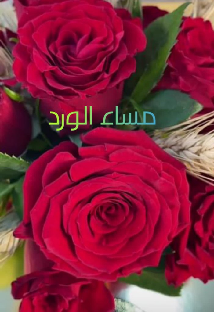 ابو احمد مصري مقيم في المدينة (@jmtlbh) on Twitter photo 