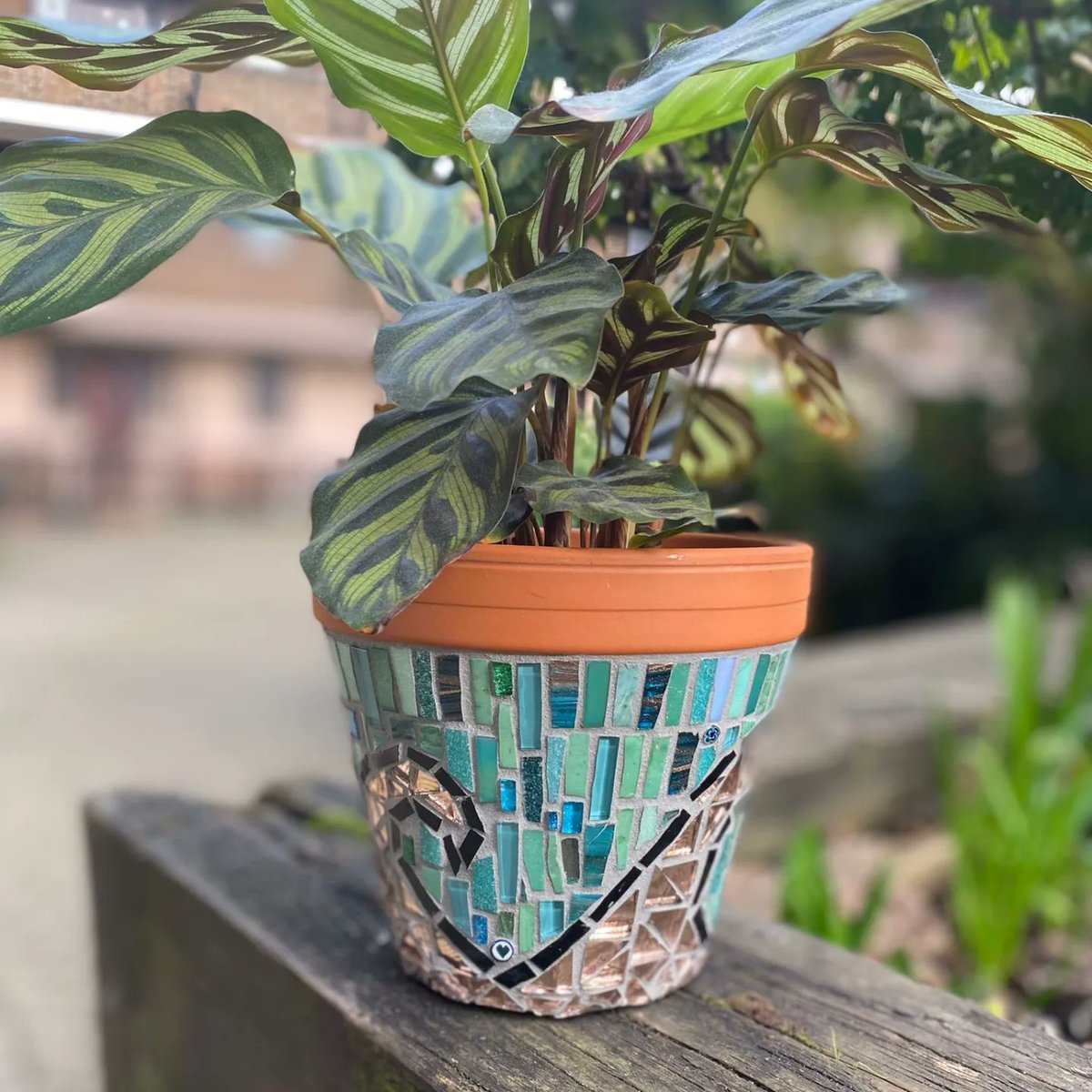 HeartInArt_UK's tweet photo. These pots #waves๐
.
.
#lovemosaics #makingmosaics #hobbies #getcreativewithus https://t.co/yGera44bAo