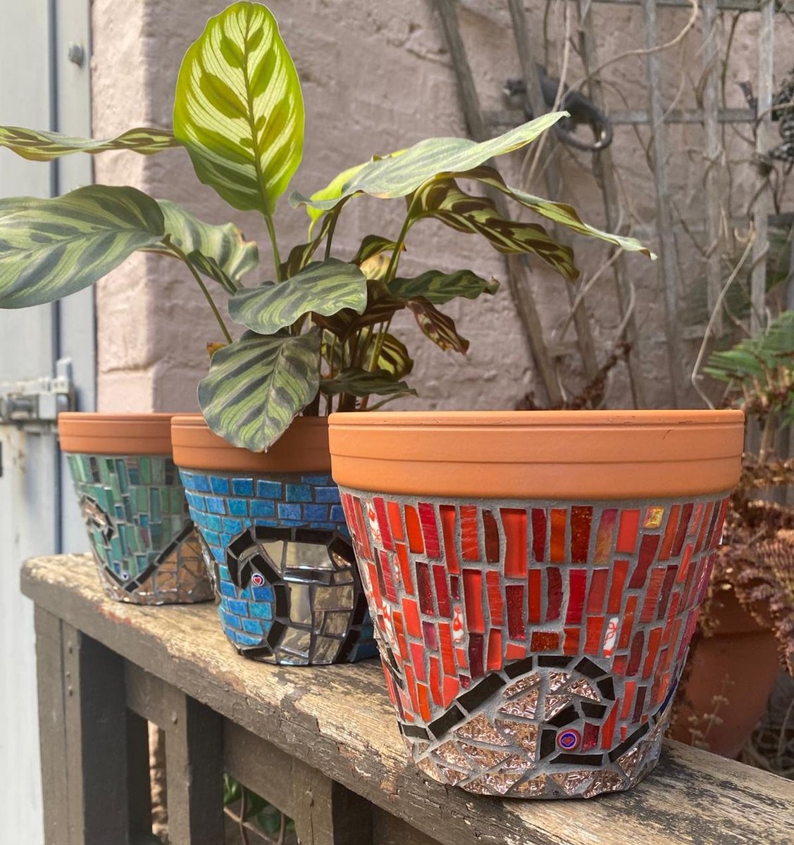 HeartInArt_UK's tweet photo. These pots #waves๐
.
.
#lovemosaics #makingmosaics #hobbies #getcreativewithus https://t.co/yGera44bAo