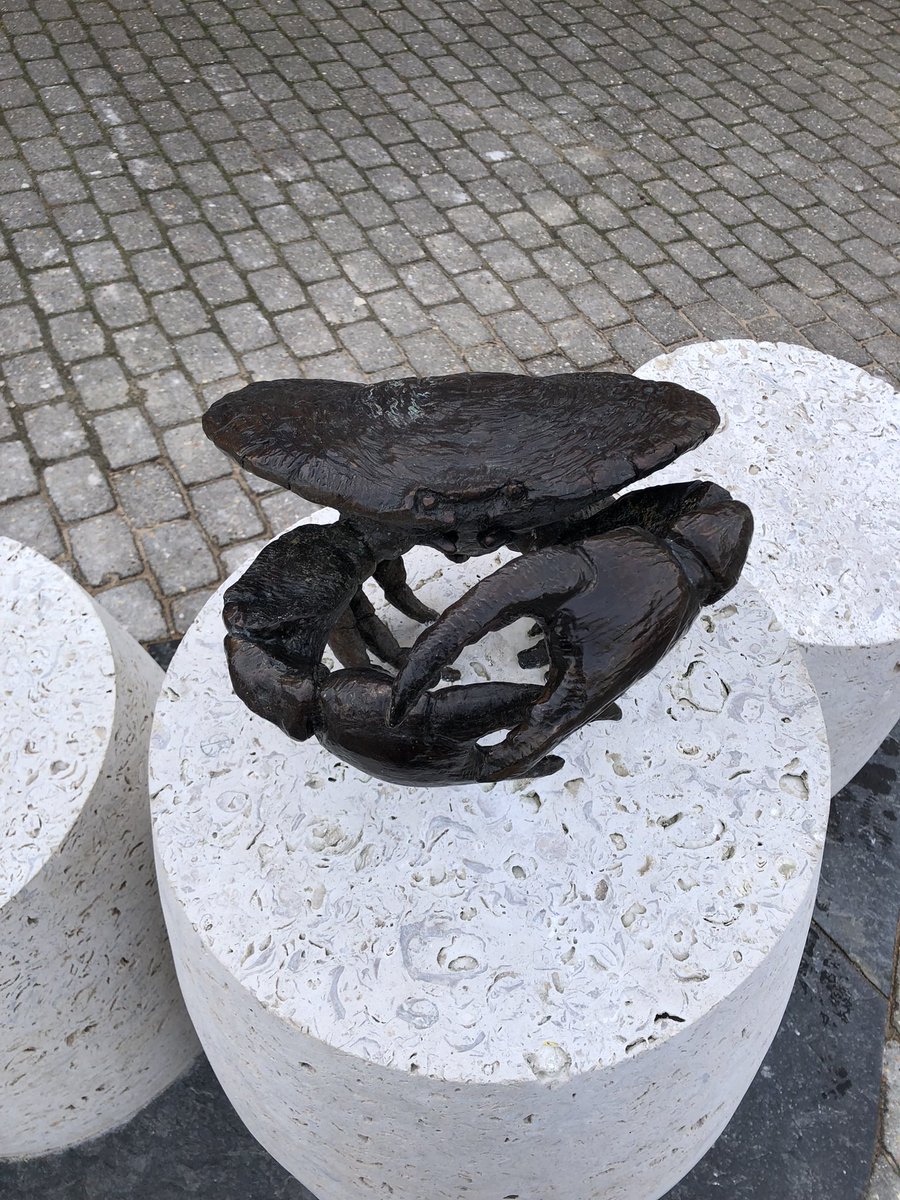 happyhillers's tweet photo. This fabulous #sculpture has appeared in #HopeSquare #Weymouth I love it ๐ฆ @DorsetCouncilUK @bsidefest @LoveWeymouth @WeAreWeymouthUK More of this type of thing please ๐ I believe itโs by #AlexEvans a local stone mason #Art https://t.co/JeDWrMF77K