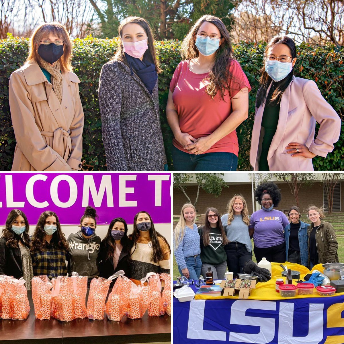 History and Social Sciences at LSUS (LSUS_HASS) Twitter