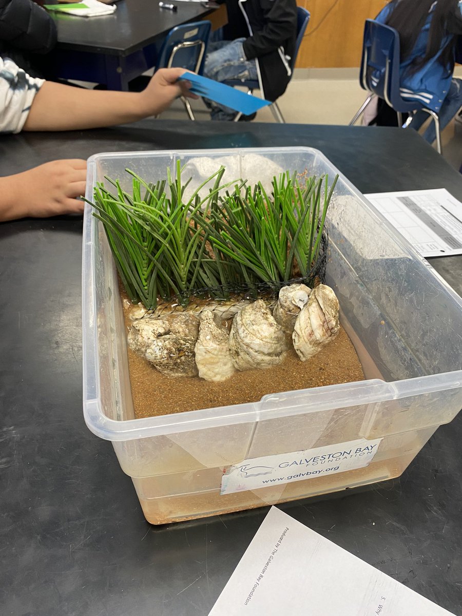 SRHS_MsCrawford's tweet photo. @GBayFoundation is here doing an engineering shorelines workshop with @SamRayburn_HS Env. Sys. students today! So excited to be a participant in the #wetlandconnections program! https://t.co/mMJTNq3PLN