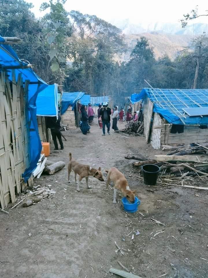 According to Siaha-based NGOs,
at least 4400 displaced #Myanmar civilians from #Matupi township in Myanmar's Chin State crossed over to the neighbouring #Siaha district in #Mizoram between Jan 4&amp;Feb 5 alone following escalation of fighting between junta Army&amp; resistance forces.