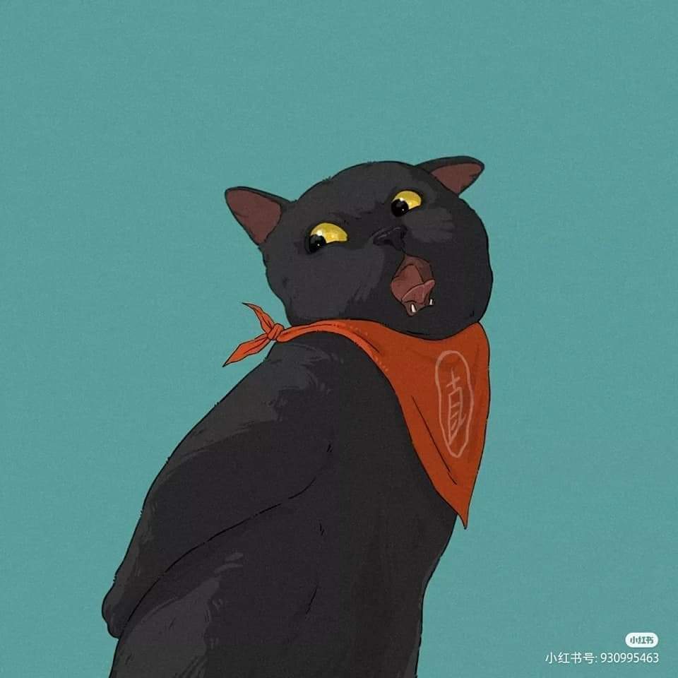 𝐜𝐚𝐭𝐜𝐡𝐢 tweet media