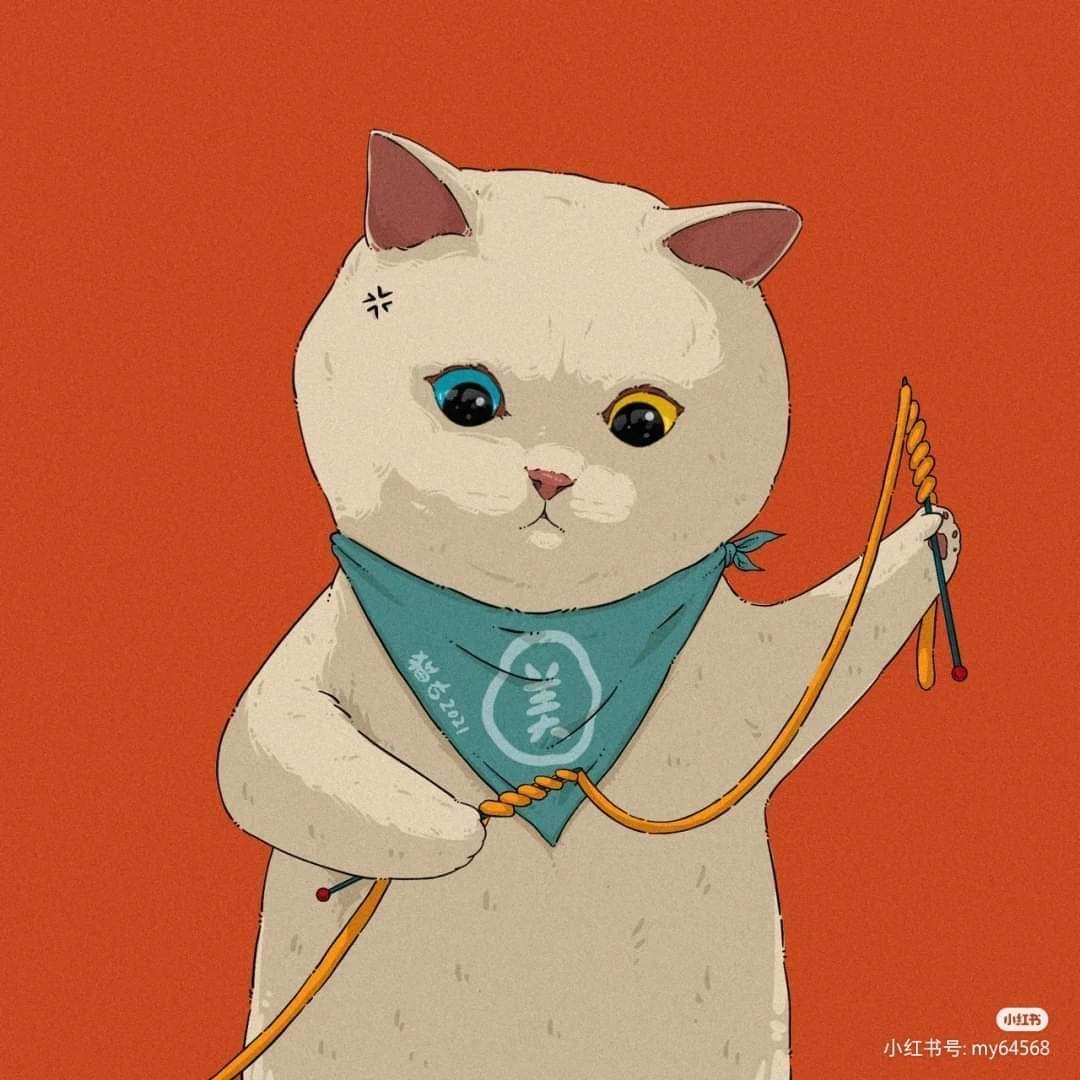 𝐜𝐚𝐭𝐜𝐡𝐢 tweet media