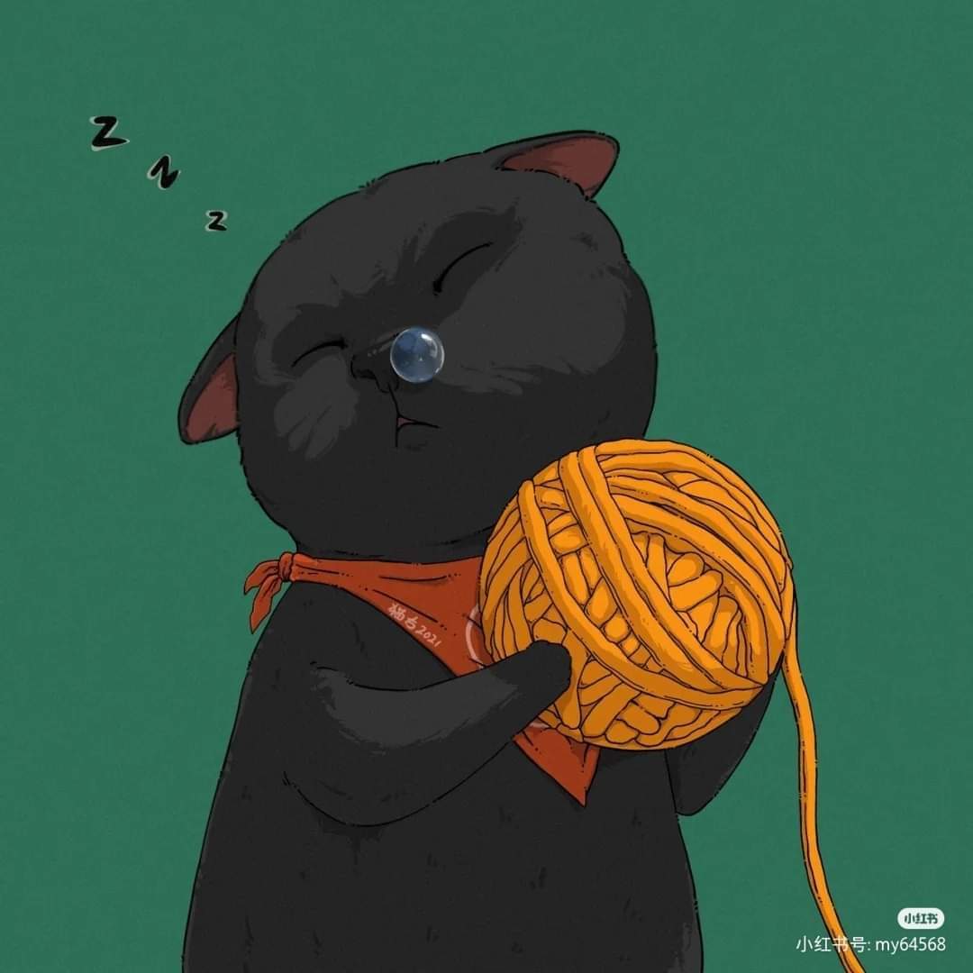 𝐜𝐚𝐭𝐜𝐡𝐢 tweet media