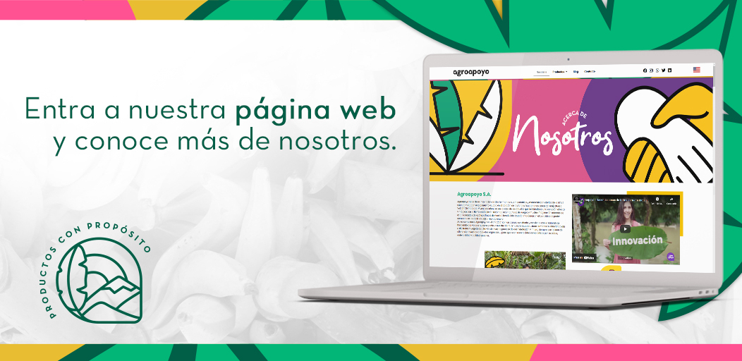 AgroapoyoEc's tweet photo. Nuestro objetivo es construir un mejor futuro para nuestras comunidades. Conoce más en: https://t.co/67ua9XlDAD

#ProductosConPropósito https://t.co/VZFdbpjmsx