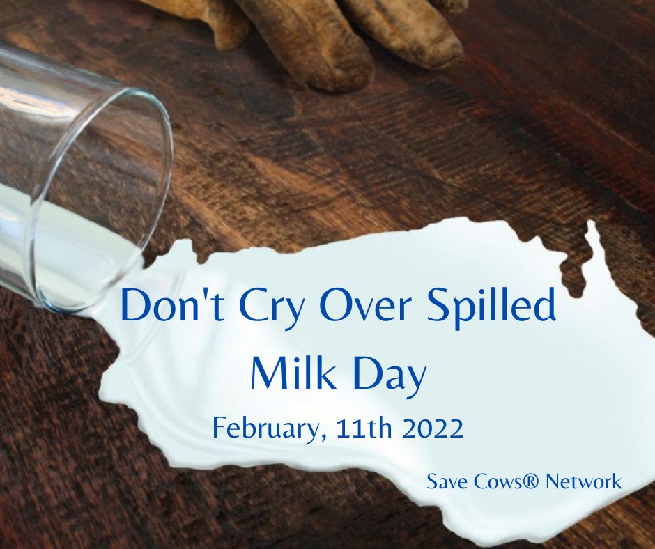 Today is "Don't Cry Over Spilled Milk Day." Remember that there is no point in being upset over something that already happened and cannot be changed. Instead, look for ways to turn the accident into something positive and fill up another glass of milk.