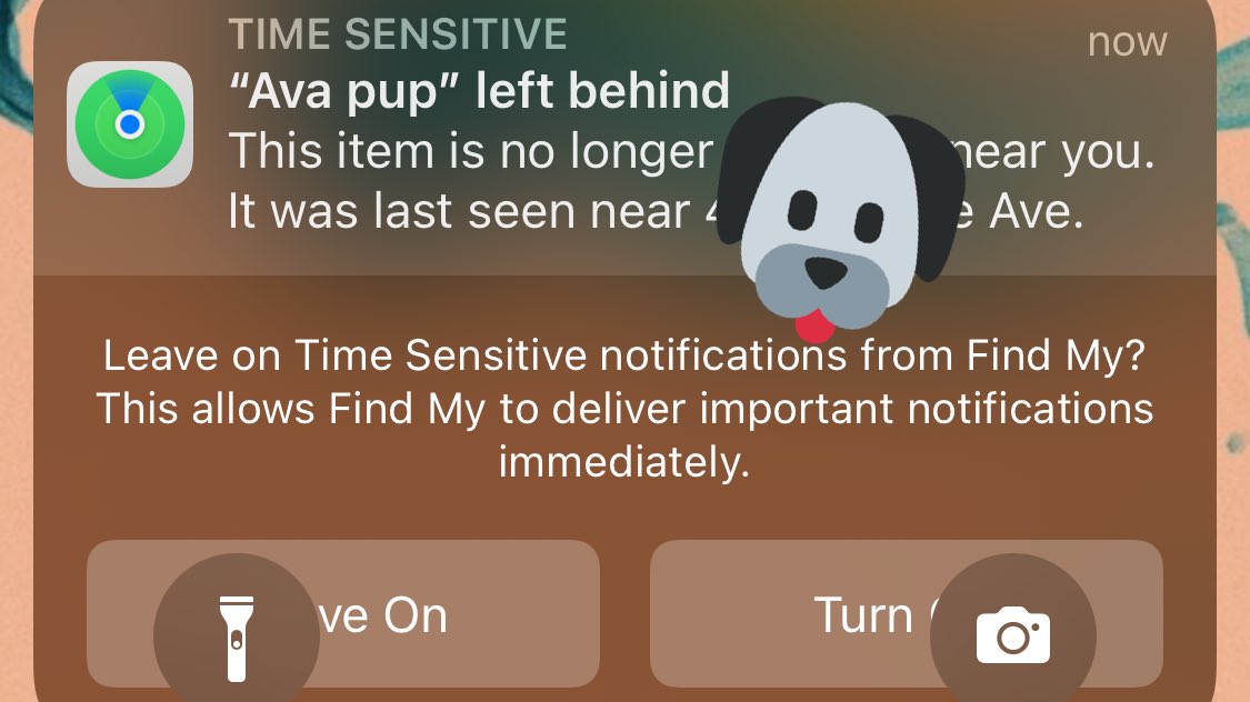 Got Ava an AirTag because #huskyprobs and then Find my iPhone decides I need a dagger in the heart on my way to work