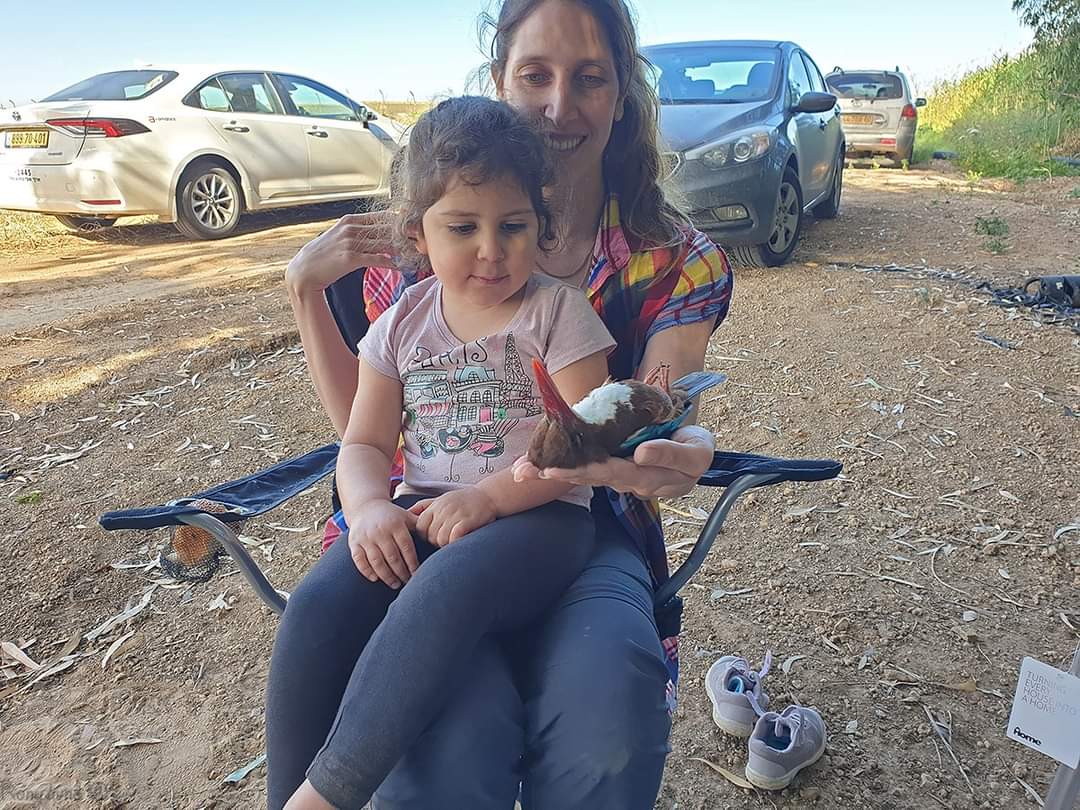 Adi Domer tweet media