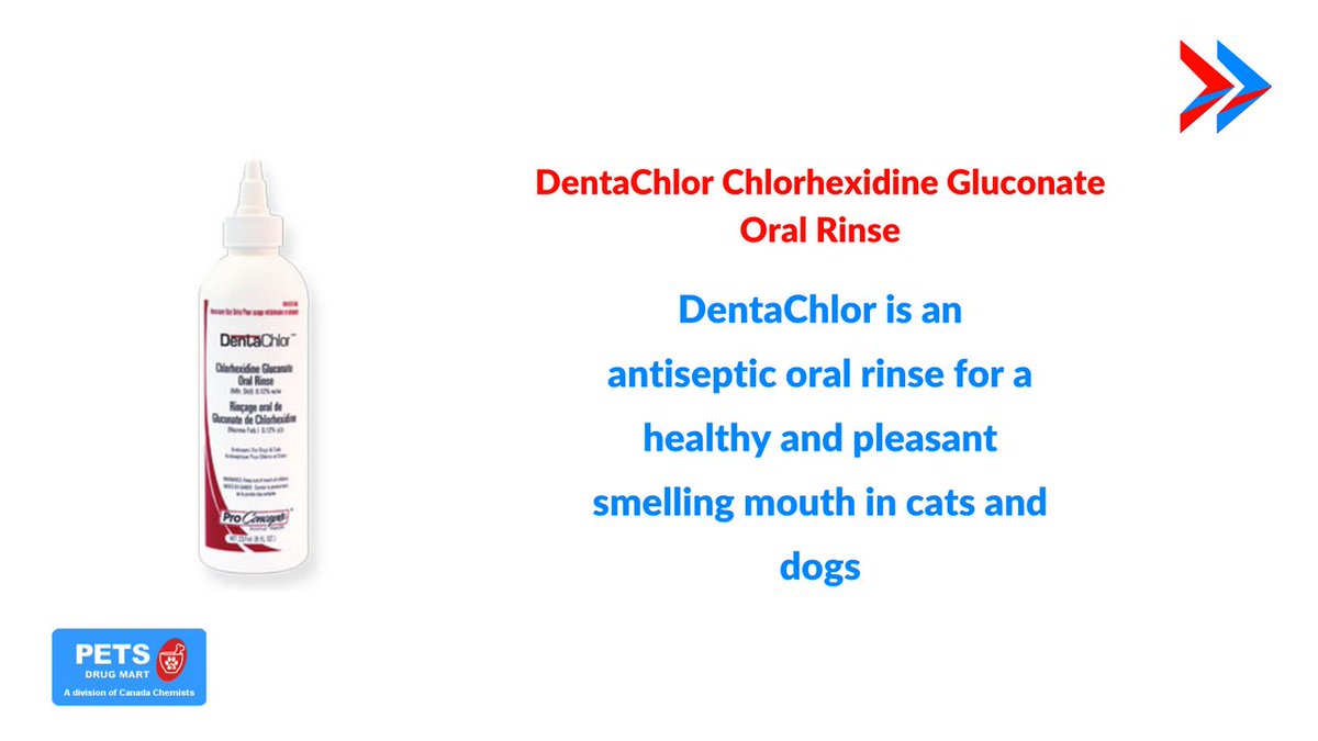 DentaChlor is the antiseptic oral rinse that can assist in improving the health and odour of your pet's mouth. 🐶 🐱 

Shop this product: bit.ly/3rpegoJ 
 
#PetsDrugMart #PDM