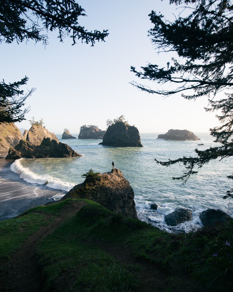 the oregon coast 🌲