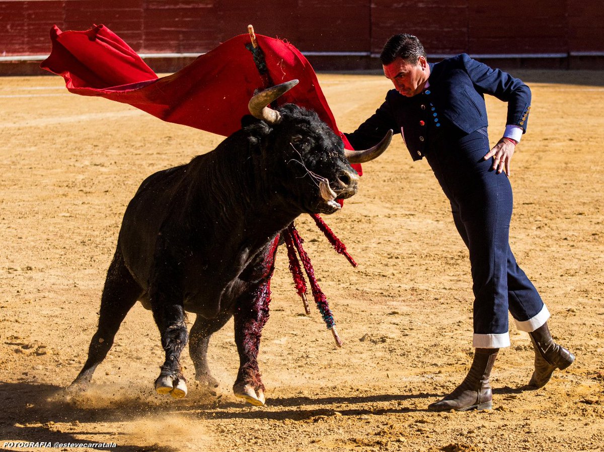 Buena foto la que nos pasa @estevecarratala del pasado festival en beneficio de la Palma en la plaza de toros de Valencia. en la foto podemos ver a <a href="/octavio_chacon/">Octavio</a>.oficial con ese pase de pecho.     
#fotografiataurina 
#festival taurino.