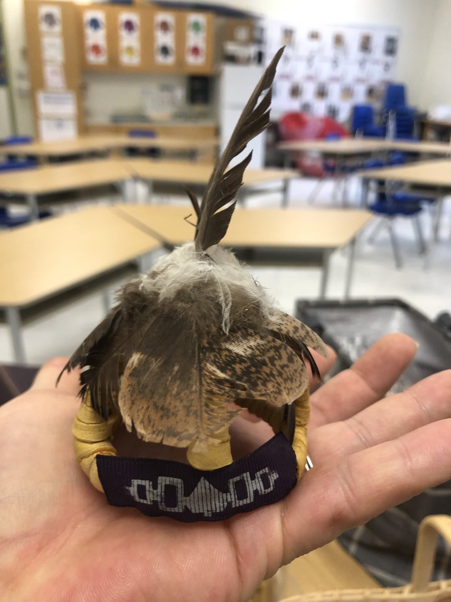 Christina Breen tweet media