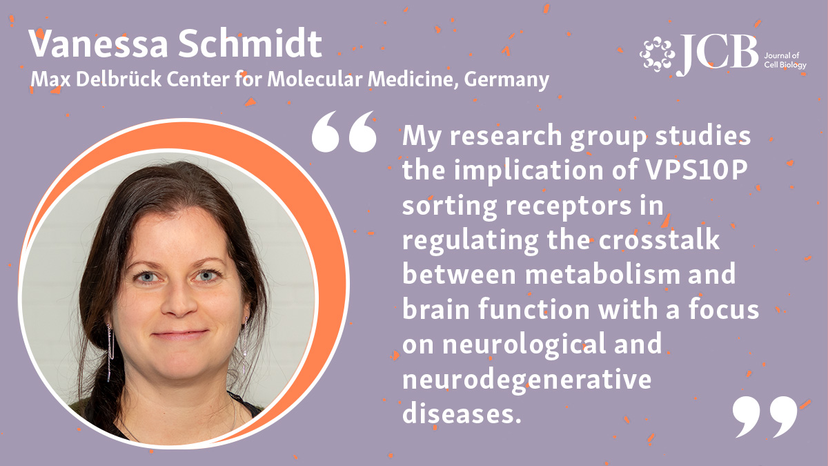 JCellBiol's tweet photo. 📄 “SORLA is required for insulin-induced expansion of the adipocyte precursor pool in visceral fat” by Vanessa Schmidt @MDC_Berlin and colleagues: https://t.co/xaGrExKRAu

#February11 #WomenInScience https://t.co/xlpYjBLC0D