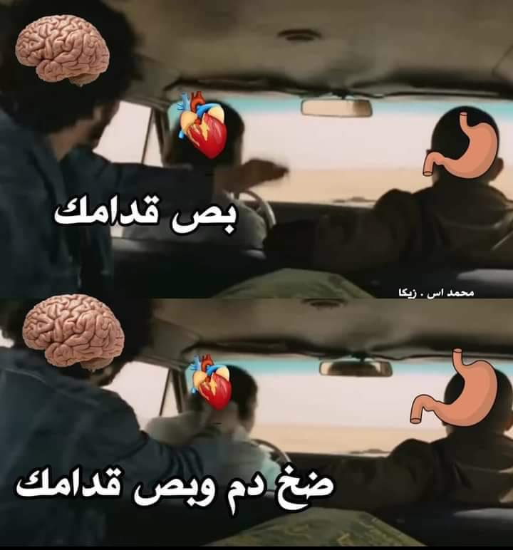 egymeme11's tweet photo. قلبك لما يبدأ يتعلق بحد تاني https://t.co/opNA1i4UQo
