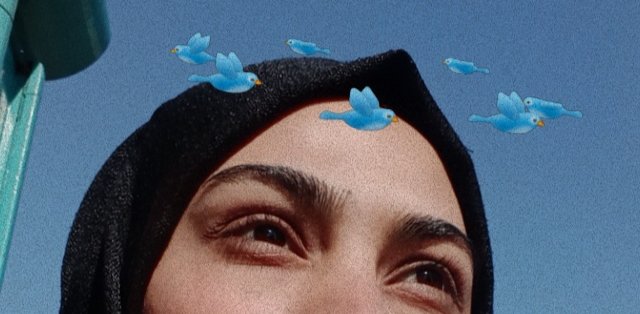 Bu aralar bir takım kuşlar beynimi kemiriyor :(