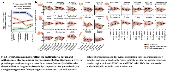 BioDecoded's tweet photo. Early prediction of preeclampsia in pregnancy with cell-free RNA | Nature
https://t.co/moPsXhkdg1
#CellFreeRNA https://t.co/FR56OYHsW5