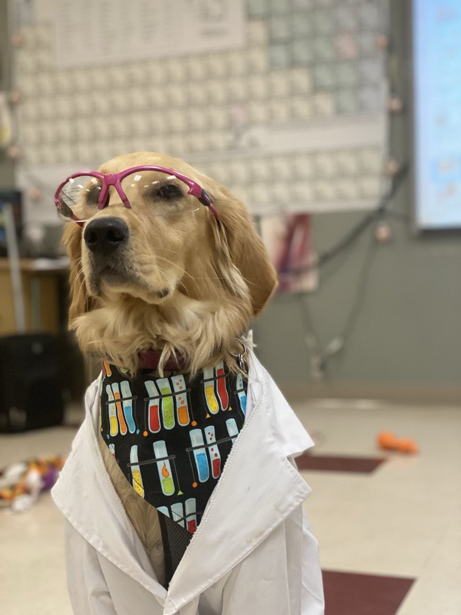 It’s International Women and Girls in Science Day!
As Beaker says:
SCIENCE IS FOR GIRLS ALSO!!!
Tag a women/girl in science and tell them they ROCK!
#InternationalWomenAndGirlsInScienceDay