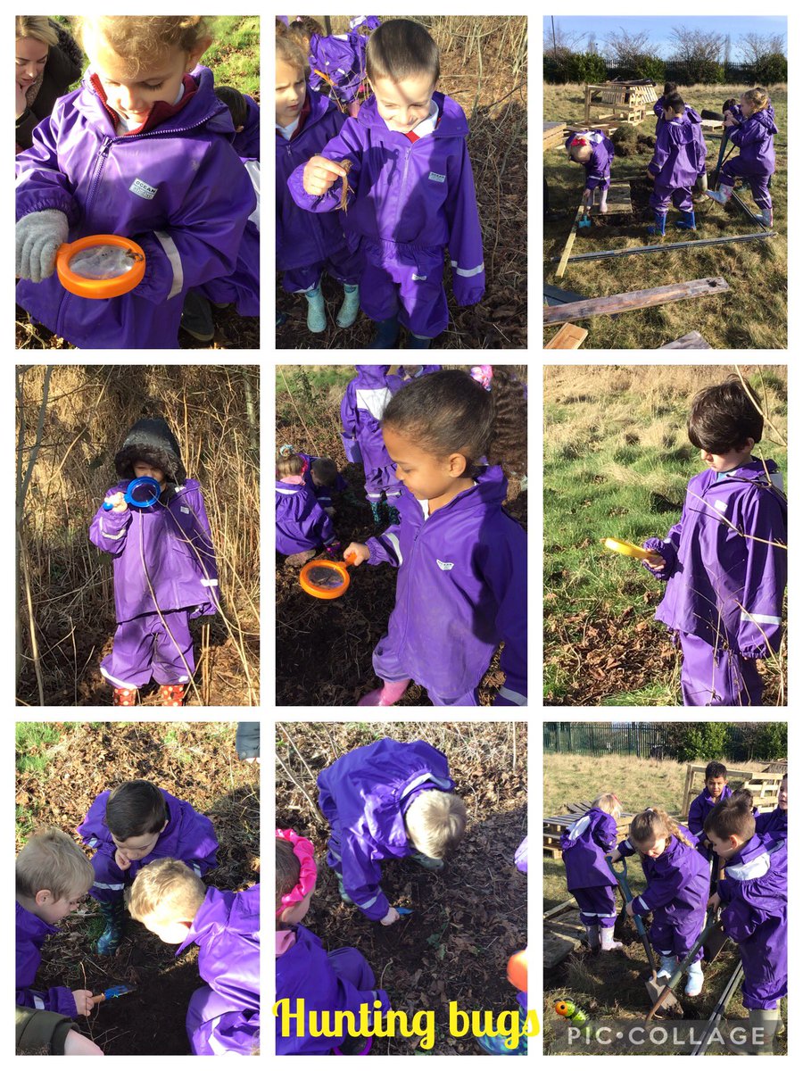 OldParkPrimary's tweet photo. 1J &amp; 1B had a lovely time in the meadow today during Fynn’s Forest Friday they hunted bugs with magnifying glasses and painted with watercolours. What have you enjoyed today? @NatureFSchools @GreatDawley @TelfordWrekin https://t.co/yKjYiz6yjF