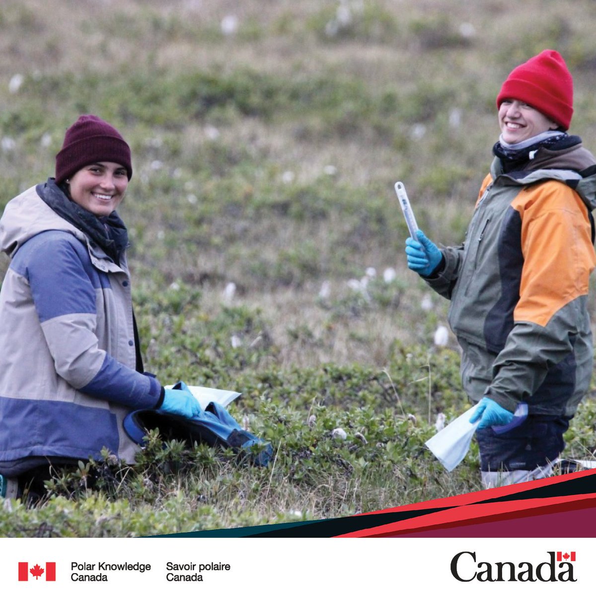 POLAIRECanada's tweet photo. Nous célébrons les #FemmesEtFillesEnScience partout dans le monde, en particulier celles qui se consacrent à faire une différence dans l’Arctique et l’Antarctique. https://t.co/gvGDBZb6Mp