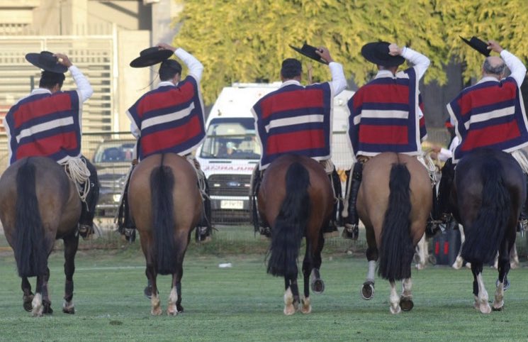 ¡Llega el fin de semana! ¡qué descansen amigos! #felizfindesemana 🇨🇱🐴
(Y no olviden cuidarse mucho 🙏🏻) 
#palmasdepeñaflor