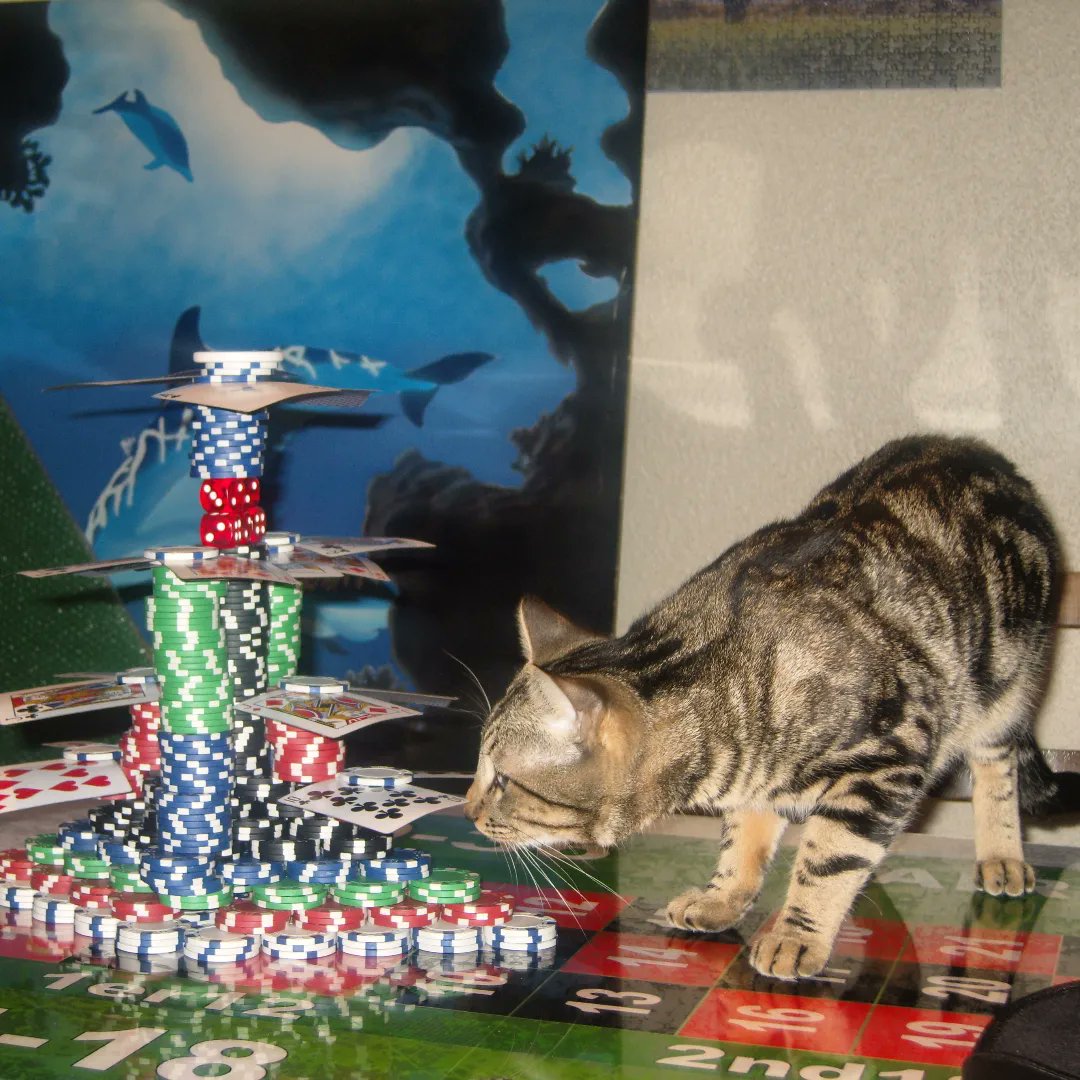 NintendoRetroCollection tweet media