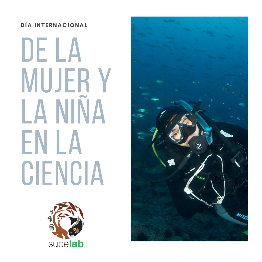 Subelab_chile tweet media