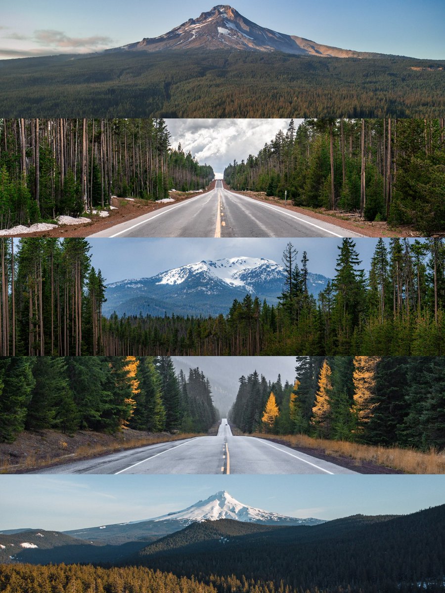 Slices of Oregon💚