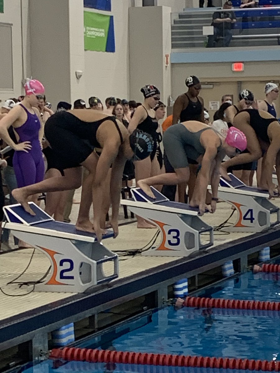 kenstonswimdive tweet picture
