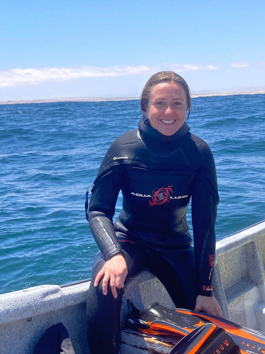 Subelab_chile tweet media